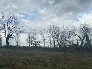 terrain a batir à la vente -   33370  ARTIGUES PRES BORDEAUX, surface 738 m2 vente terrain a batir - UBI477319691